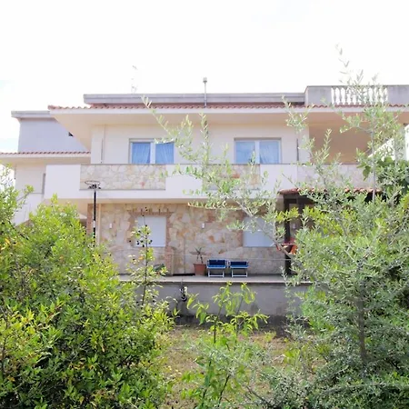 Attico Asinara سورسو
